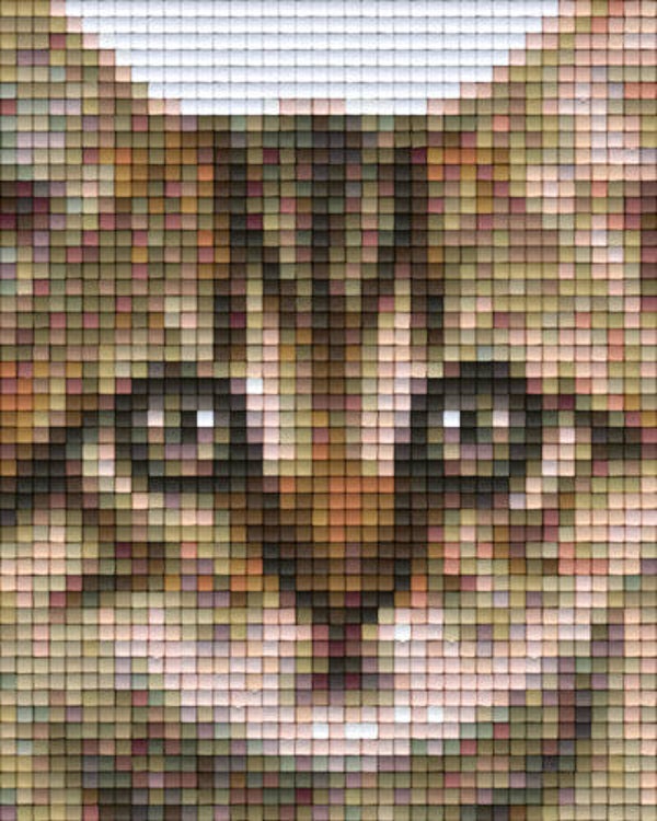Kit 1 Plaque Chat