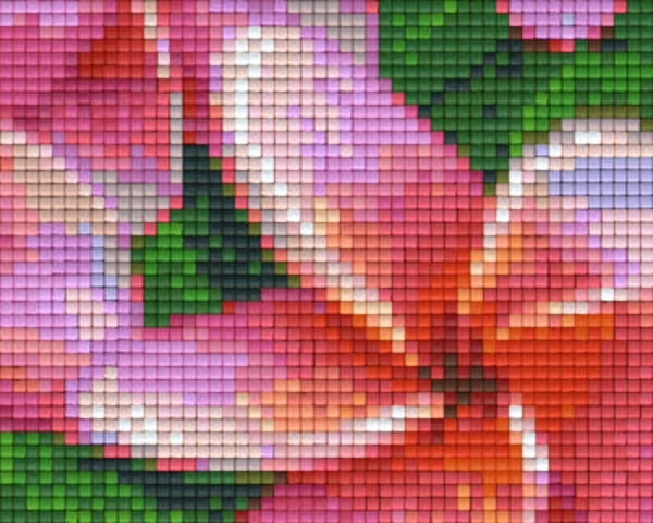 Kit 1 Plaque Fleurs