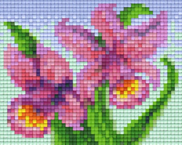 Kit 1 Plaque Fleurs
