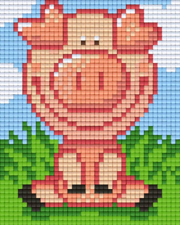 Kit 1 Plaque Cochon