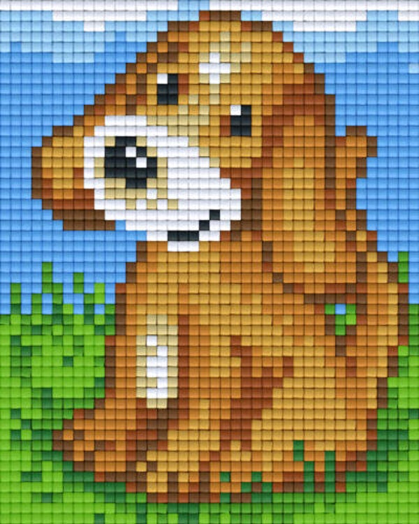 Kit 1 Plaque Chien