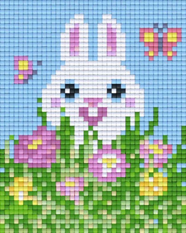 Kit 1 Plaque Lapin