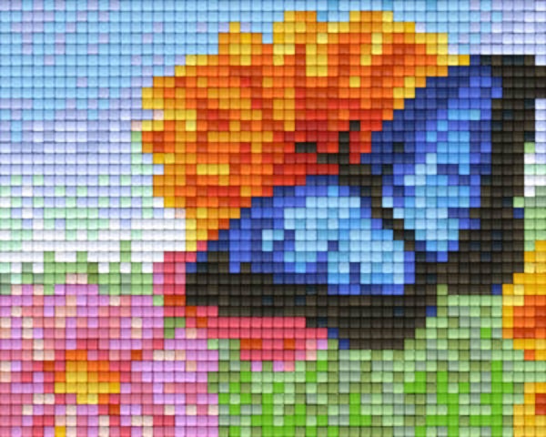 Kit 1 Plaque Fleurs Papillons