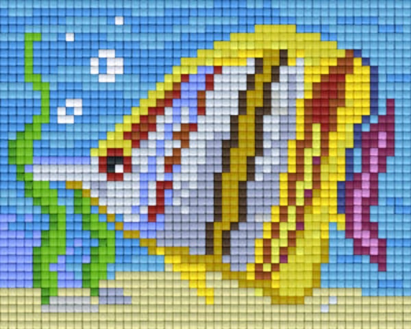 Kit 1 Plaque Poisson