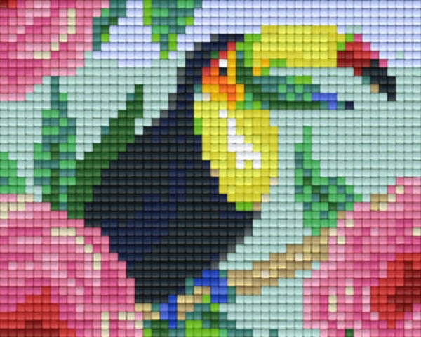 Kit 1 Plaque Toucan