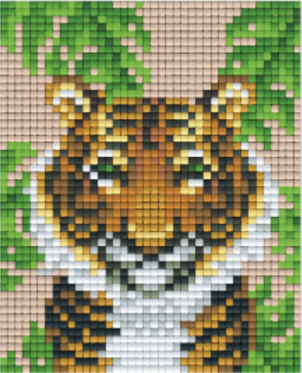 Kit 1 Plaque Tigre