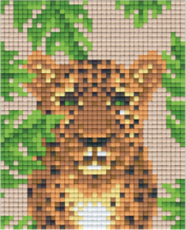 Kit 1 Plaque Leopard