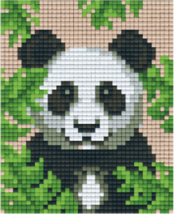 Kit 1 Plaque Panda