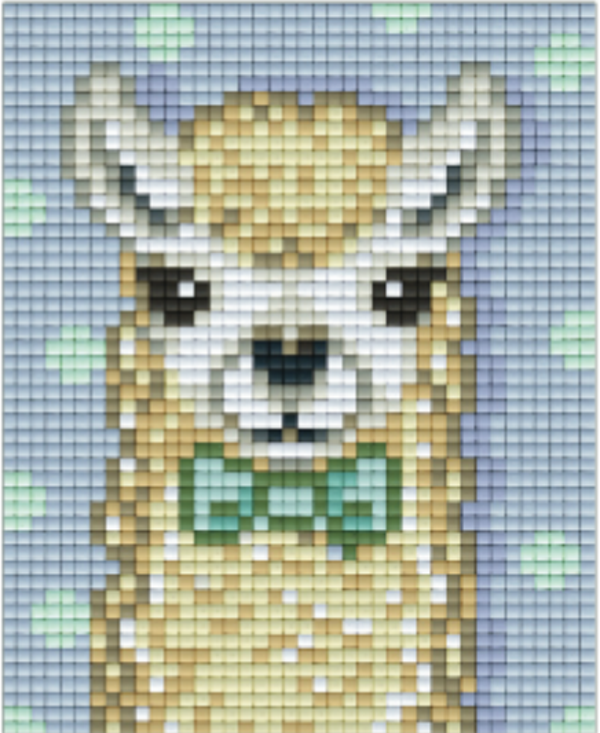 Kit 1 Plaque Lama