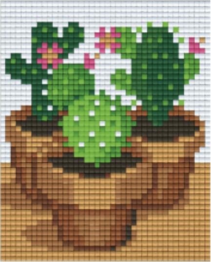 Kit 1 Plaque Cactus