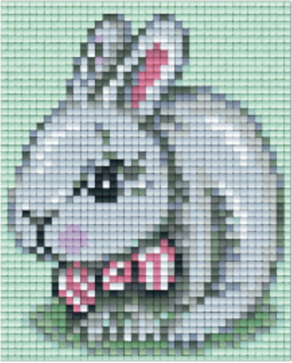 Kit 1 Plaque Lapin