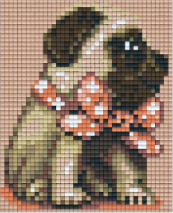 Kit 1 Plaque Chien