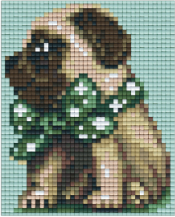 Kit 1 Plaque Chien