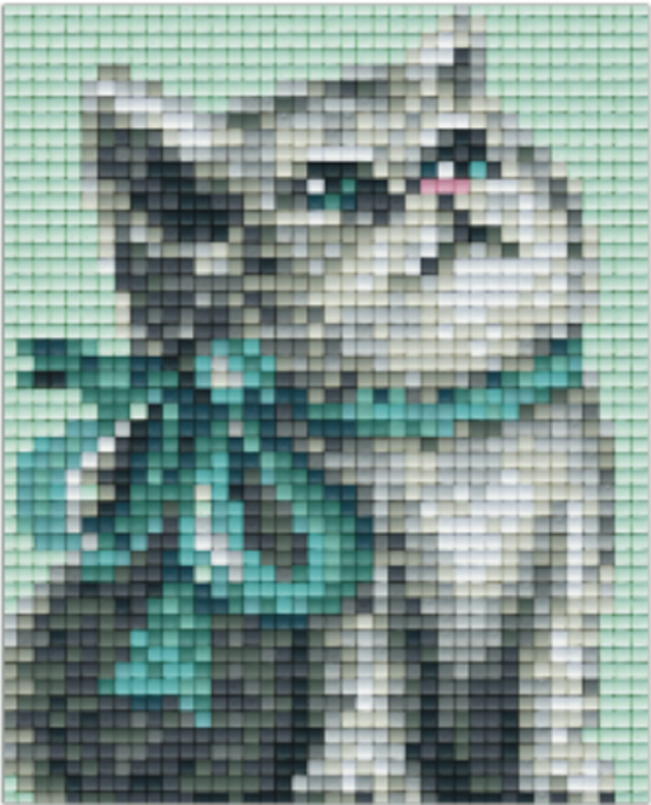 Kit 1 Plaque Chat