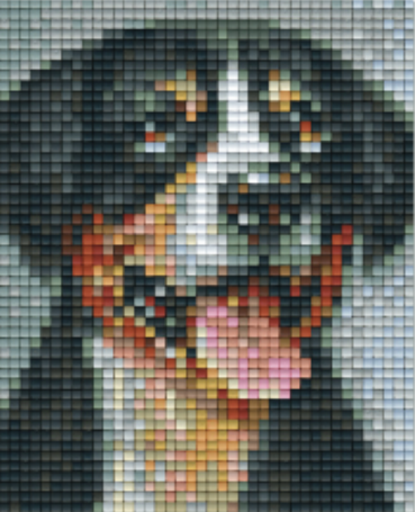 Kit 1 Plaque Chien