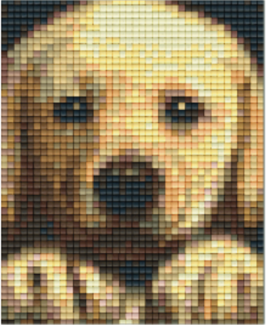 Kit 1 Plaque Chien