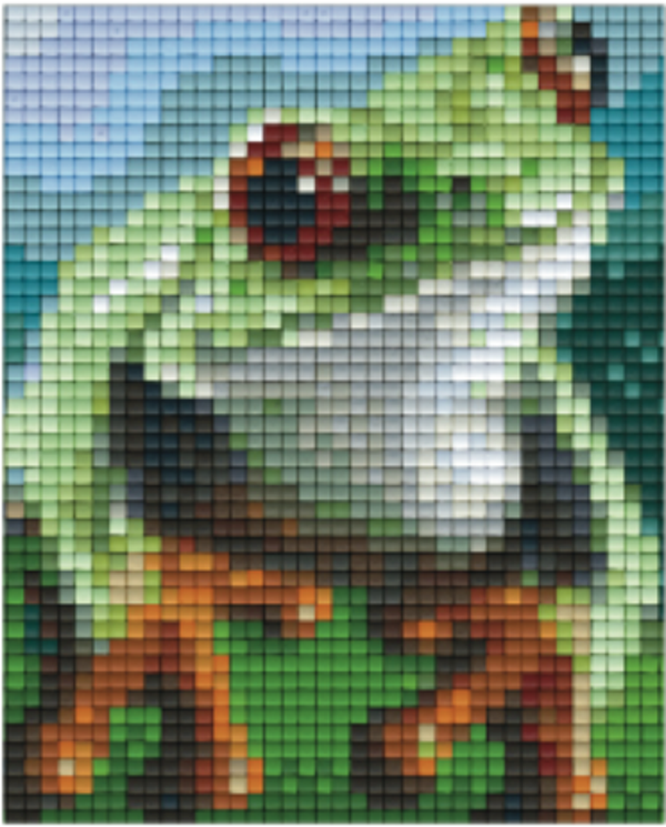 Kit 1 Plaque Grenouille