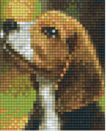 Kit 1 Plaque Chien