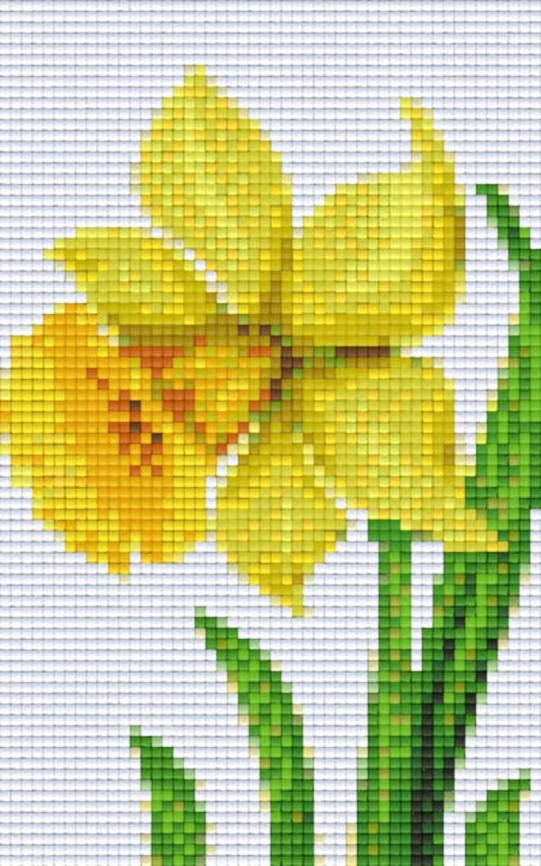 Kit 2 Plaques Fleur