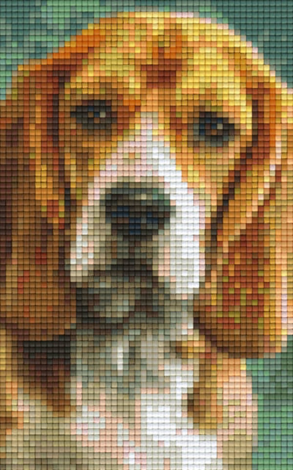 Kit 2 Plaques Chien