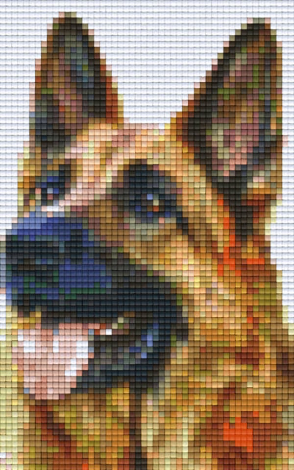 Kit 2 Plaques Chien