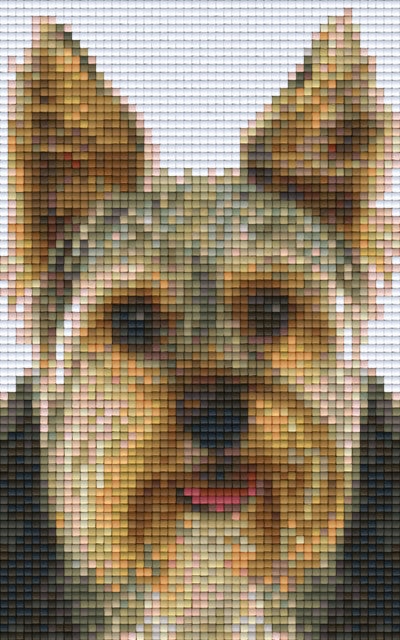 Kit 2 Plaques Chien