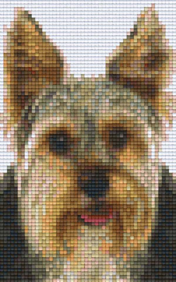 Kit 2 Plaques Chien