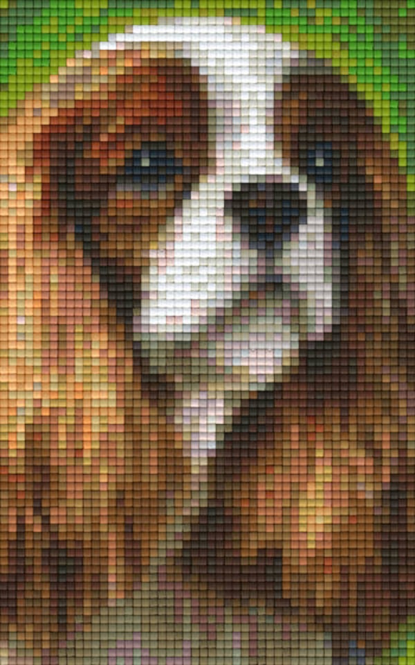 Kit 2 Plaques Chien