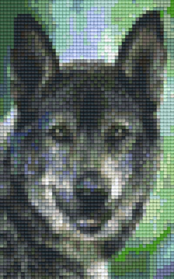 Kit 2 Plaques Loup
