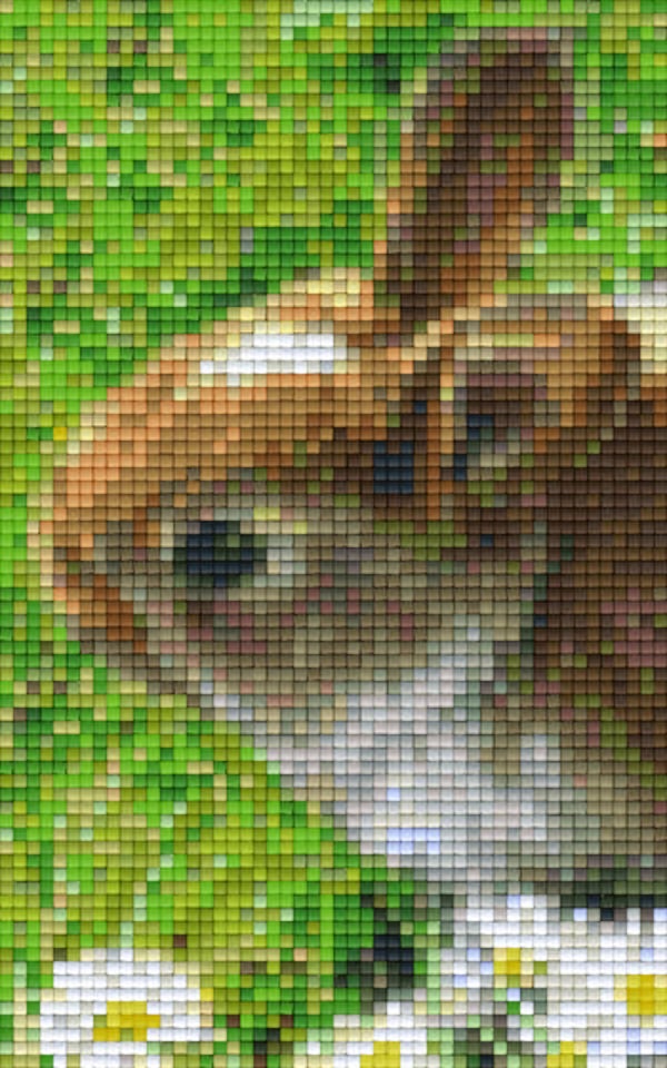 Kit 2 Plaques Lapin