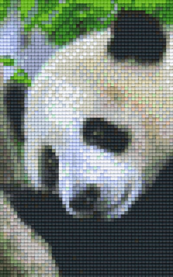 Kit 2 Plaques Panda