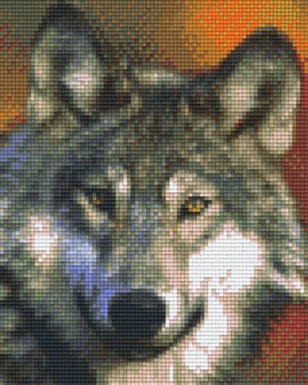 Kit 4 Plaques Loup