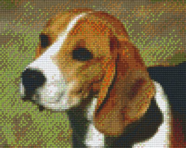 Kit 4 Plaques Chien