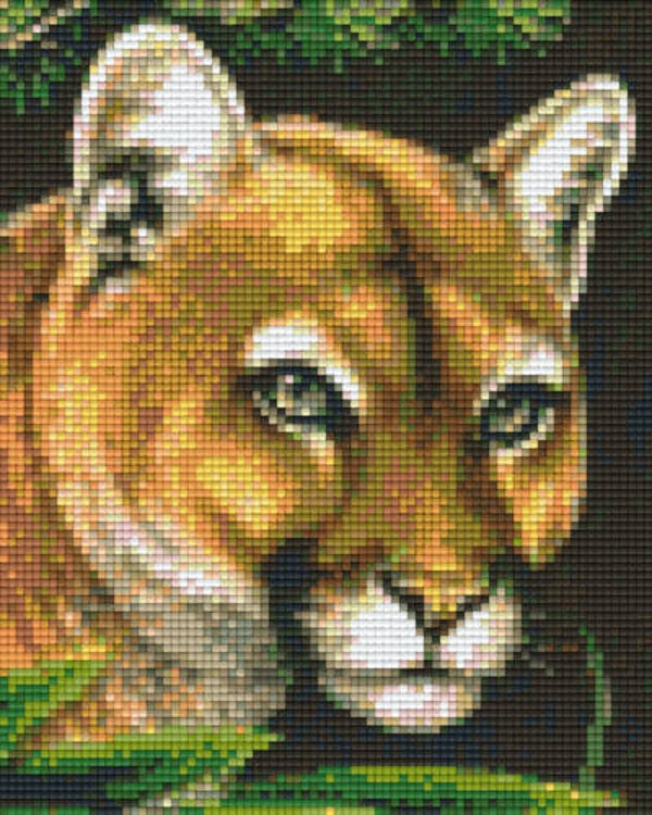 Kit 4 Plaques Puma
