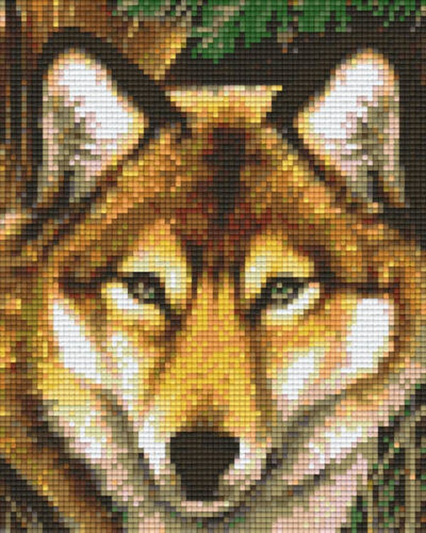 Kit 4 Plaques Loup