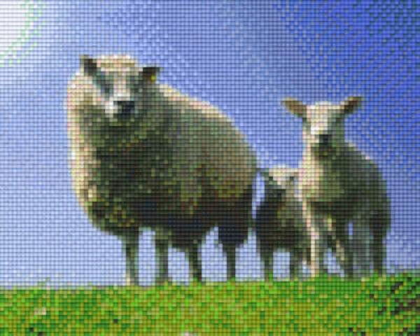 Kit 4 Plaques Moutons