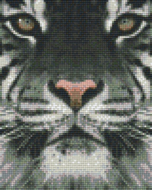 Kit 4 Plaques Tigre