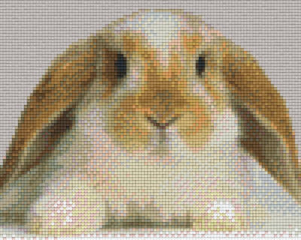 Kit 4 Plaques Lapin