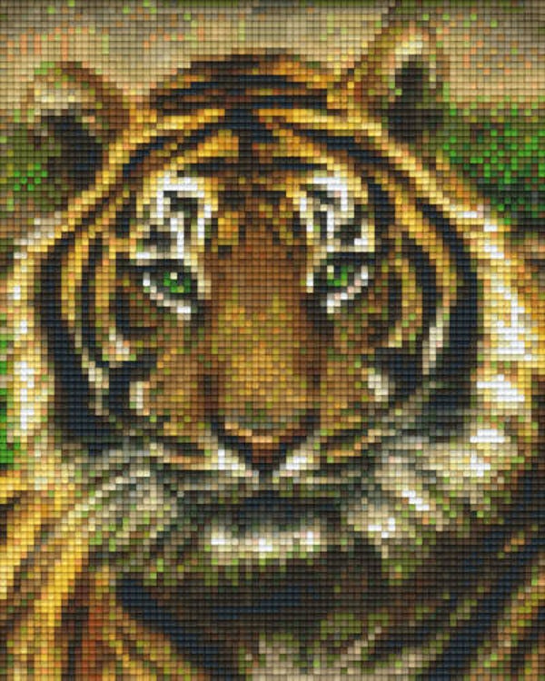 Kit 4 Plaques Tigre