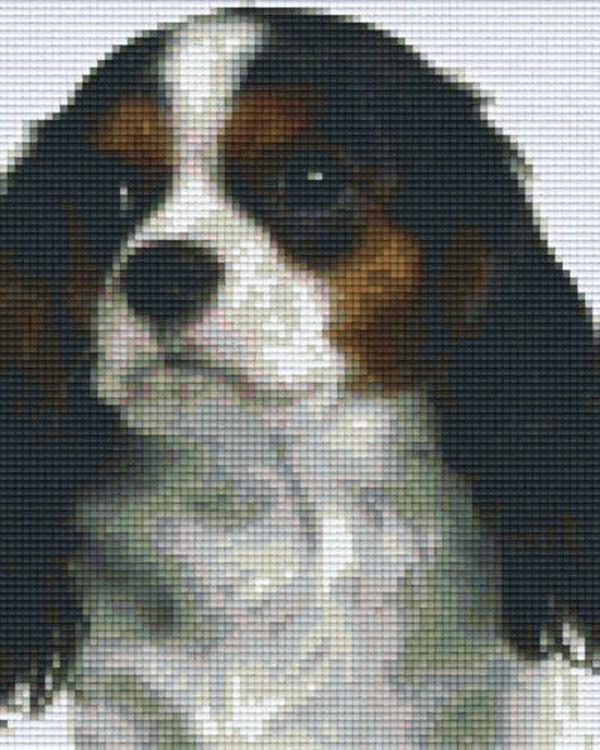 Kit 4 Plaques Chien
