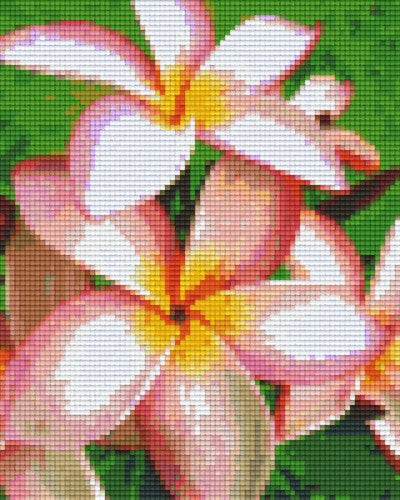 Kit 4 Plaques Fleurs
