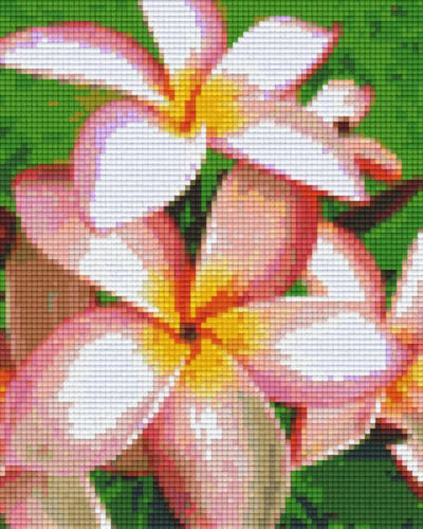 Kit 4 Plaques Fleurs