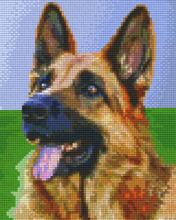 Kit 4 Plaques Chien