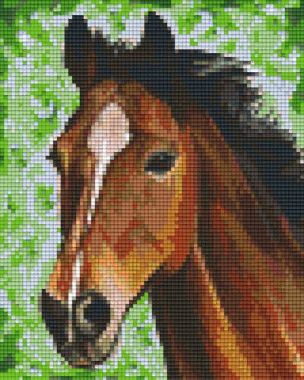 Kit 4 Plaques Cheval