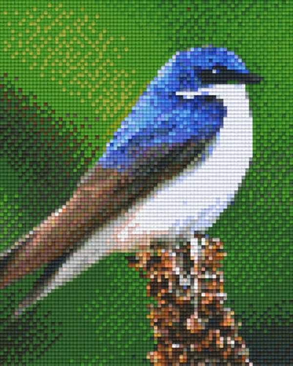 Kit 4 Plaques Oiseau