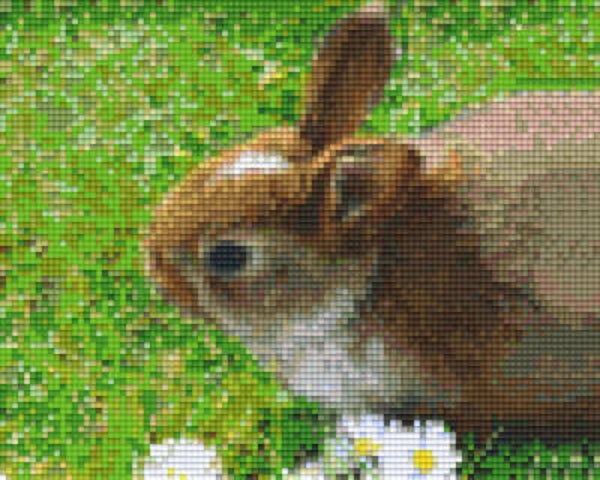 Kit 4 Plaques Lapin