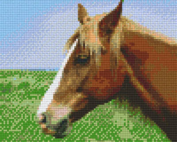Kit 4 Plaques Cheval