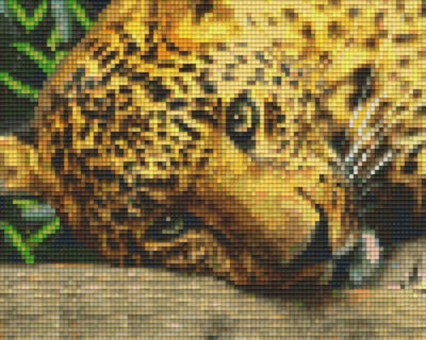 Kit 4 Plaques Leopard