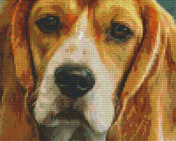 Kit 4 Plaques Chien