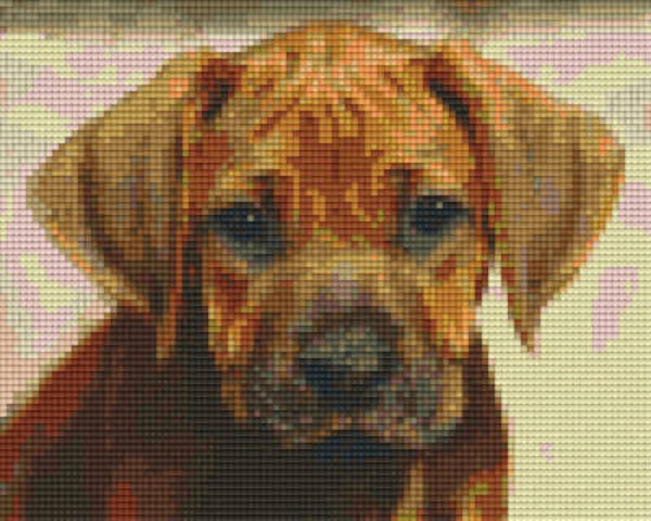 Kit 4 Plaques Chien